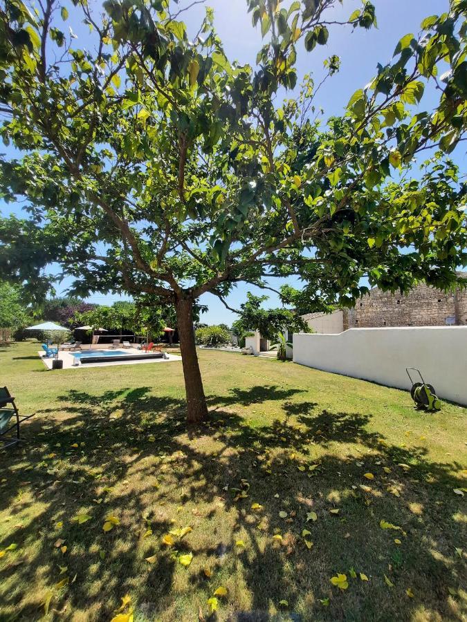 Gite 4 Personnes Avec Piscine Entre Saintes Et Royan Balanzac Bagian luar foto